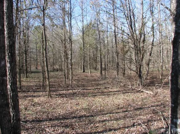 1200 Lewisburg Rd, Austin, AR 72007