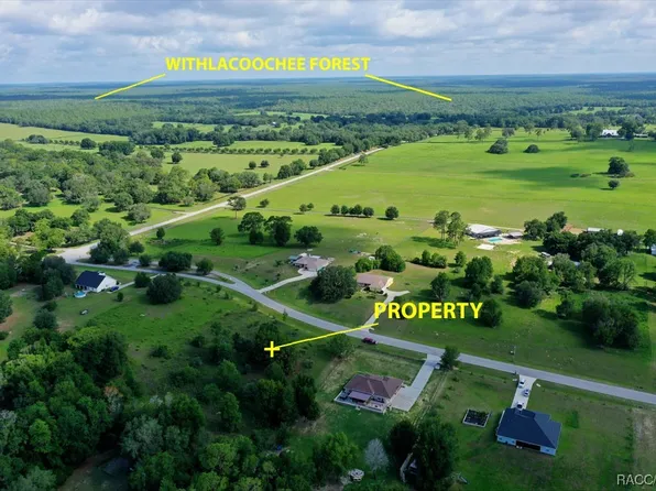 4546 E Liza Knowlton Dr, Inverness, FL 34452
