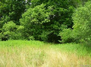 0 Mount Monroe Rd, Cuba, NY 14727