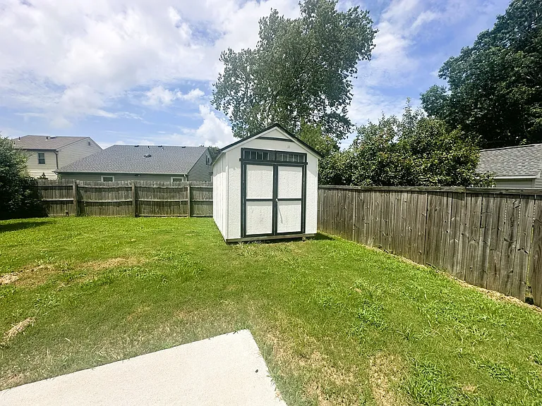 Large back yard with shed