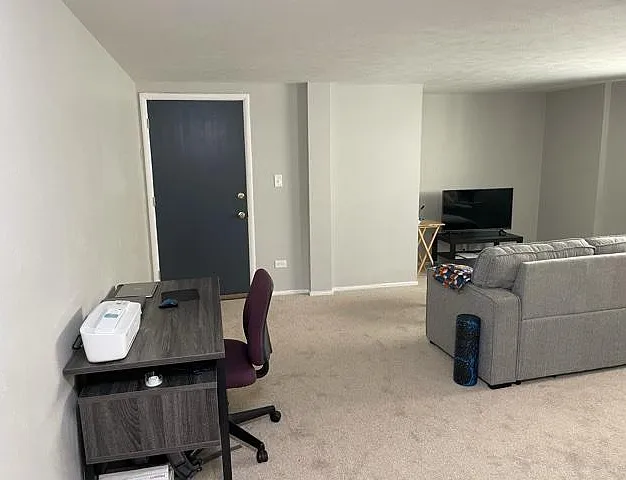 352 S Lafayette St #303 — Photo 3