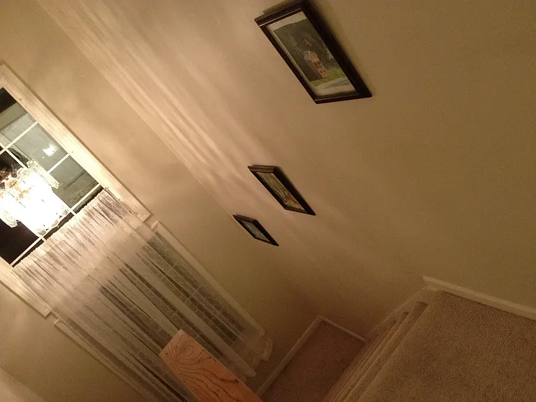 14491 Willow Bend Ct — Photo 13