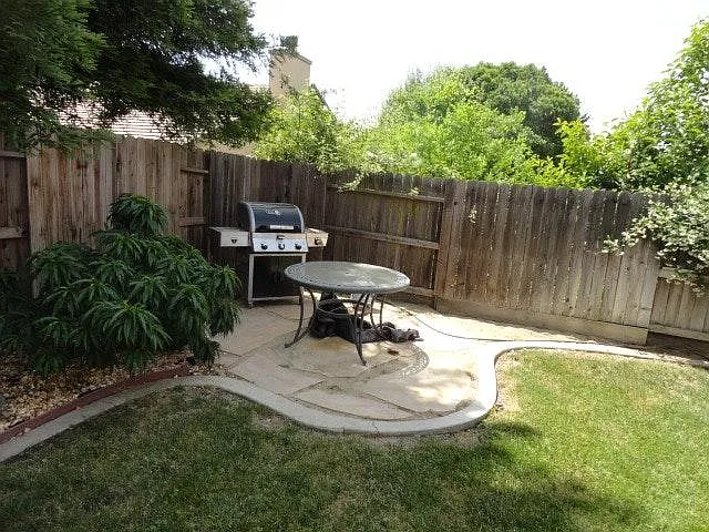 3 bed, 1850 sqft, $2,950 — Photo 3
