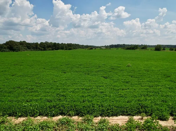 0 Judge Logue Rd, Newton, AL 36352