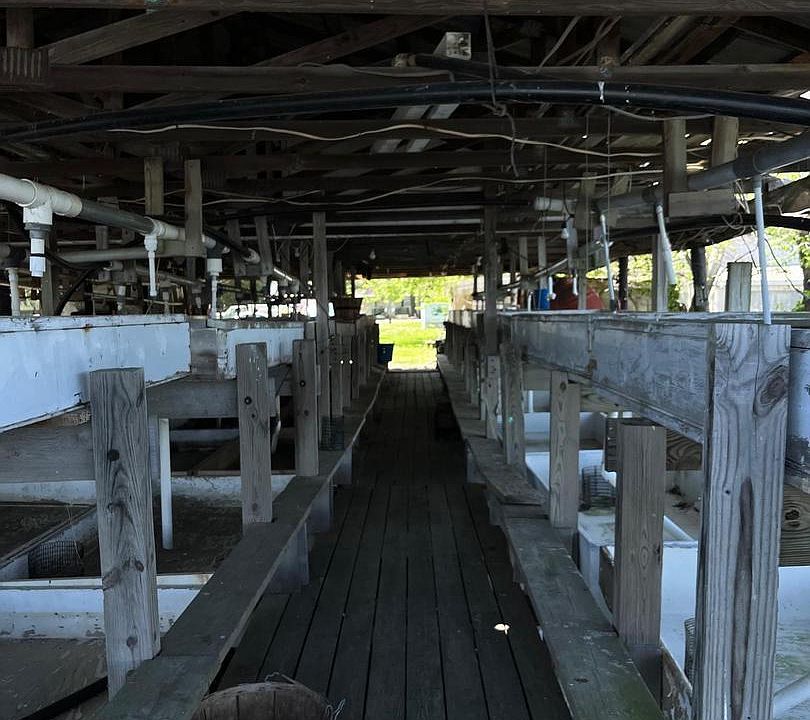 6291 Nelson Point Rd, Neavitt, MD 21652 Zillow