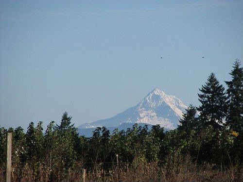 5th image of 10102 NE 144th Ct Lot 28