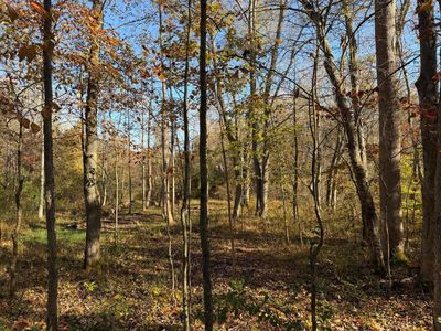 364 S Begley Rd, Mc Kee, KY, 40447