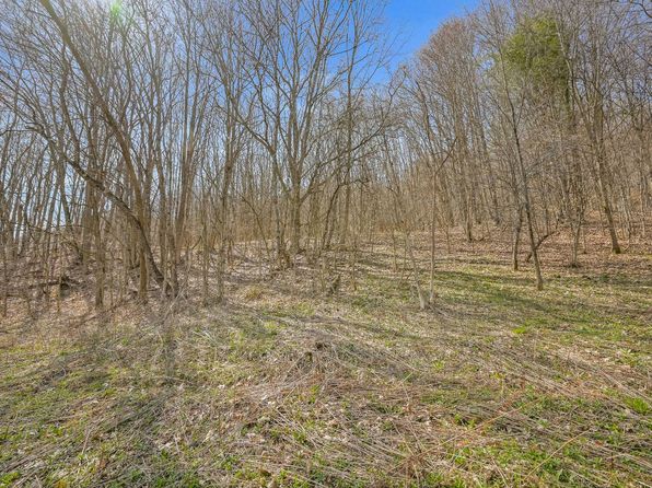 L9112 Lutheranville Rd, Summit, NY 12175