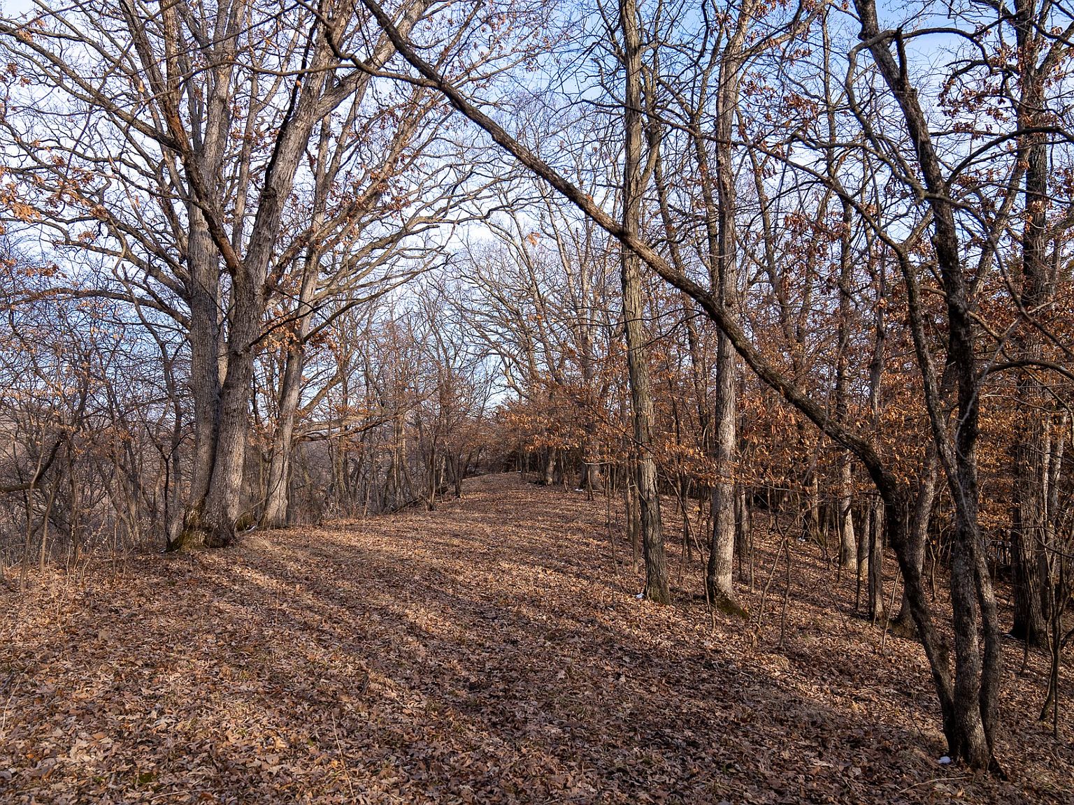 562 I Ave, Pilot Mound, IA 50223 Zillow