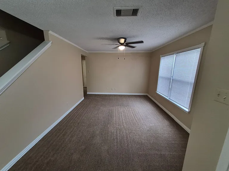 8007 Chestnut Bluff Dr — Photo 5