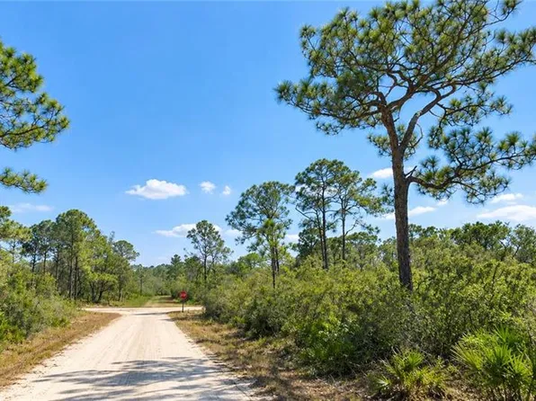 1204 Vesper Sparrow AVE, LAKE PLACID, FL 33852