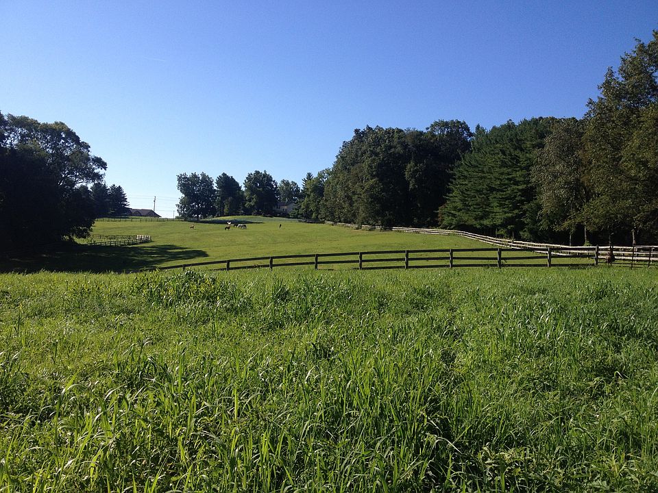 Pasture for Horses