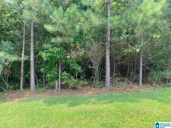 8517 Wolf Creek Ln #6, Mc Calla, AL 35111