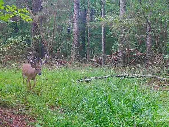 5555 Groves Rd, Union Mills, NC 28167