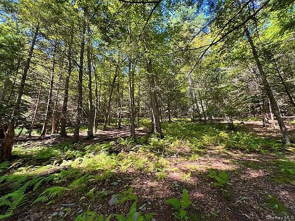 4th image of Swanerbury Road