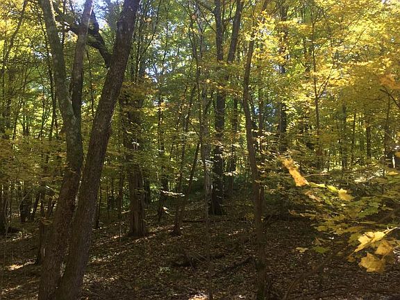 3rd image of Xxx 175th Street West Sweden Twp