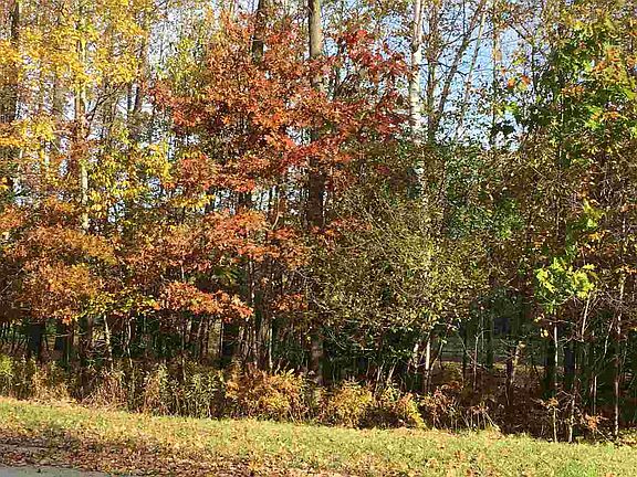2nd image of 966 Thornberry Creek Dr