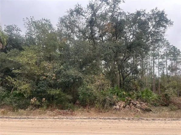 Hudson St Lot 6, Interlachen, FL 32148