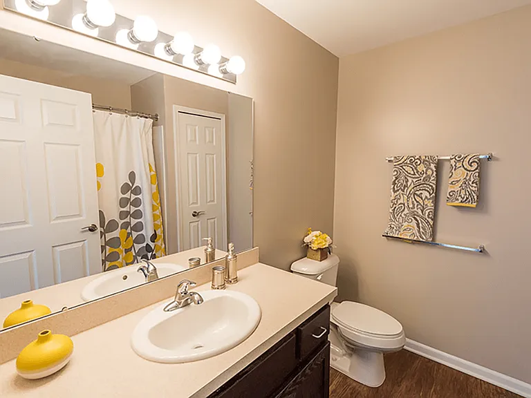 Bathroom with Vanity Space!