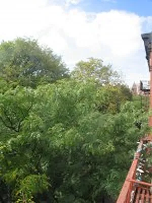 Rented by DSA Realty | media 46