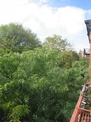 Rented by DSA Realty