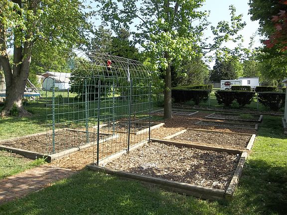 Raised Garden Beds