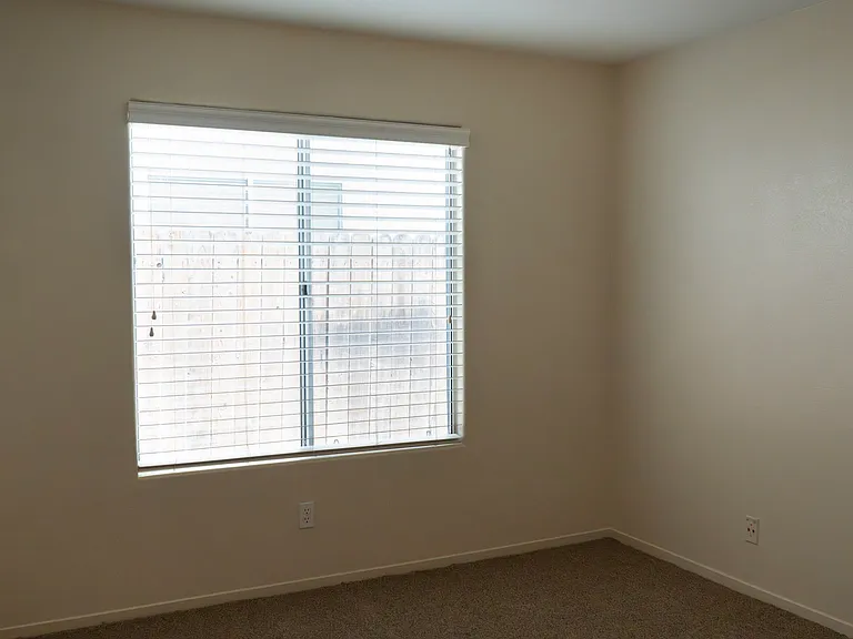 1044 E Manhattan Ave — Photo 19