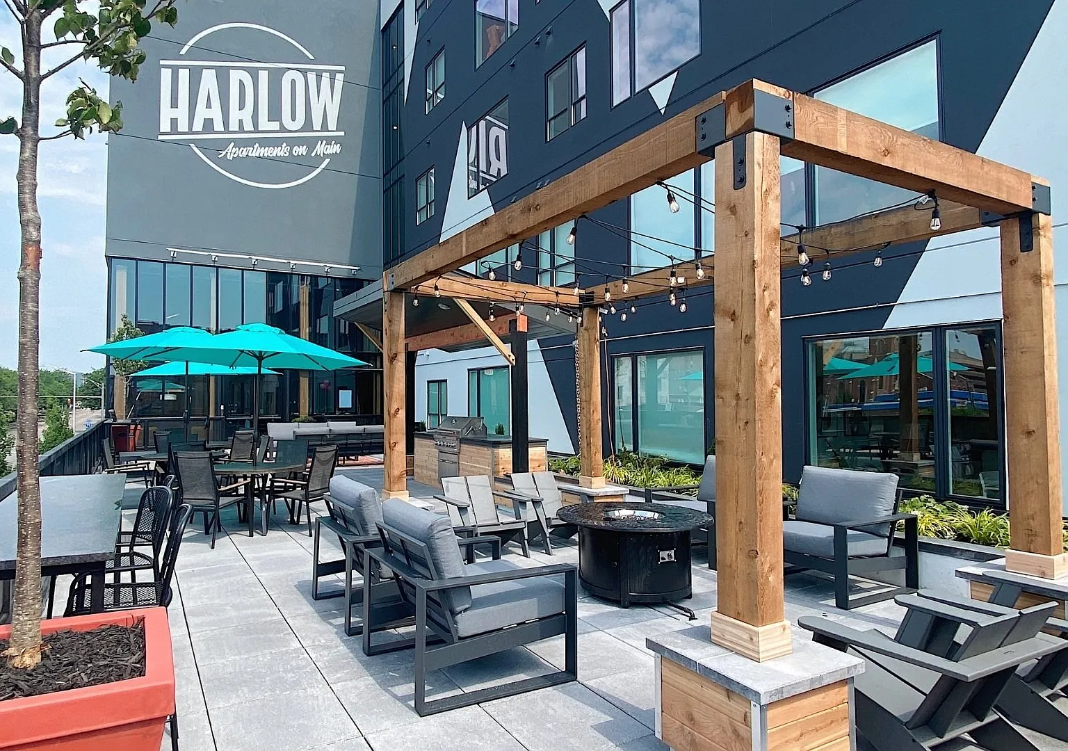 Harlow on Main — Photo 1
