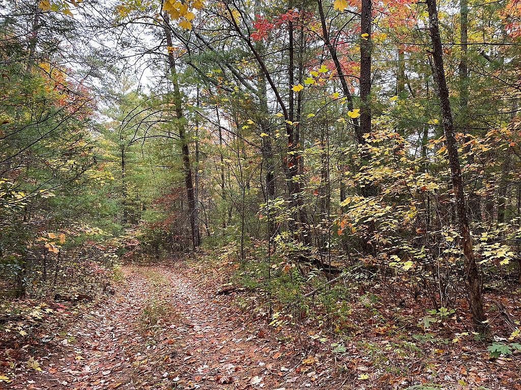 Grindstaff Rd, Hartford, TN 37753 Zillow