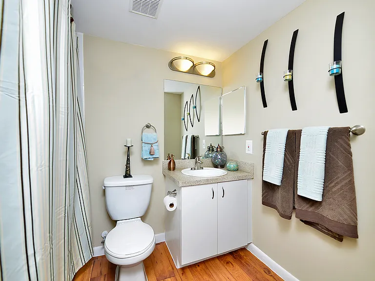 Masterbedroom bath