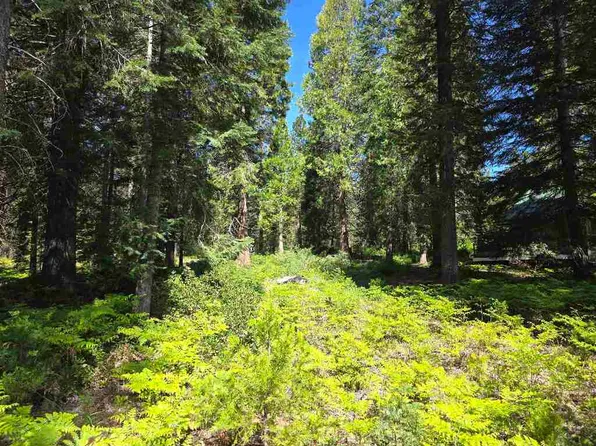 LOT 86 Panther Meadow Dr, McCloud, CA 96057