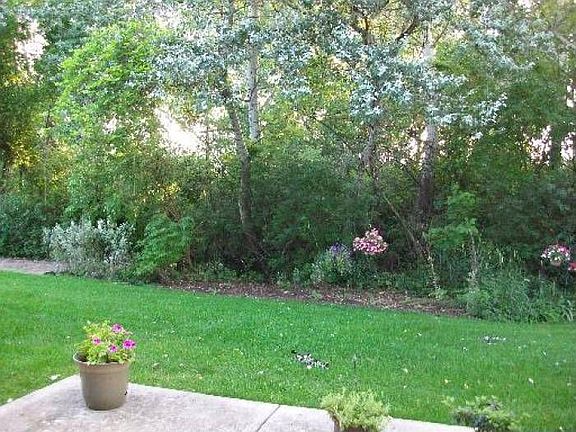 Wooded View