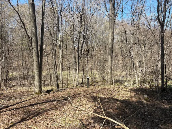 LOT 1 Sweetfern Ln, South Frontenac, ON K0H 1X0