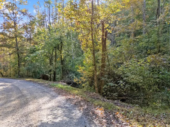 /31 Sulpher Springs Way, Sevierville, TN 37862
