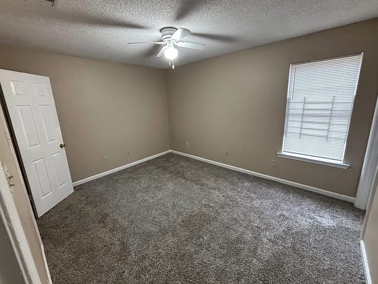 4315 Appian Cv — Photo 4