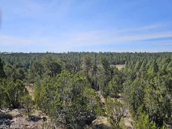2955 E LOOKOUT Lane #337, Overgaard, AZ 85933