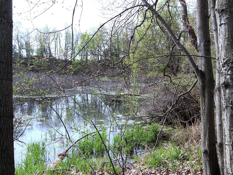1st image of V/l Frost Rd