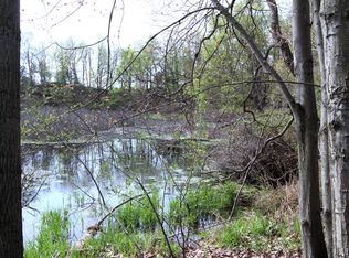 V/l Frost Rd, Portland, MI 48875