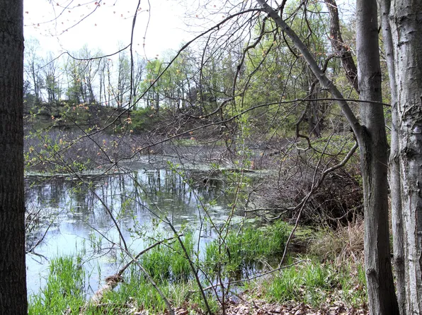 V/l Frost Rd, Portland, MI 48875