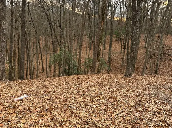 0 Hollow St, Murphy, NC 28906