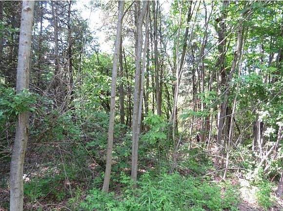 2nd image of 224 North Rd