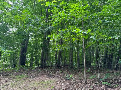 4935 Woodman Rd SW, South Boardman, MI, 49680