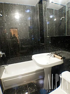 Rented by Alpha Properties NYC I LLC | media 30