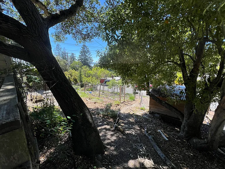 Side yard and chicken coop from front yard