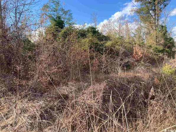 Tract D Evans Rd., Johnsonville, SC 29555
