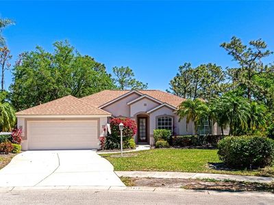 11419 Pine Lilly Pl, Lakewood Ranch, FL, 34202