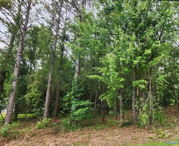 1 Acres Keel Mountain Rd, Gurley, AL, 35748