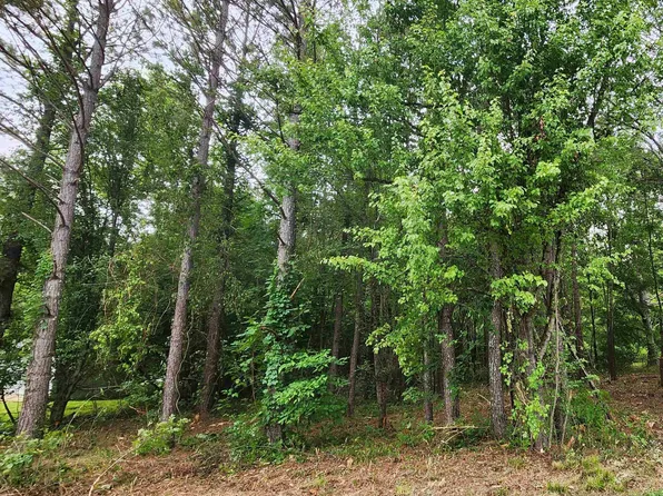 1 Acres Keel Mountain Rd, Gurley, AL 35748