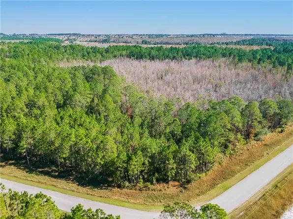 704 Hidden Palms Dr, Davenport, FL 33897