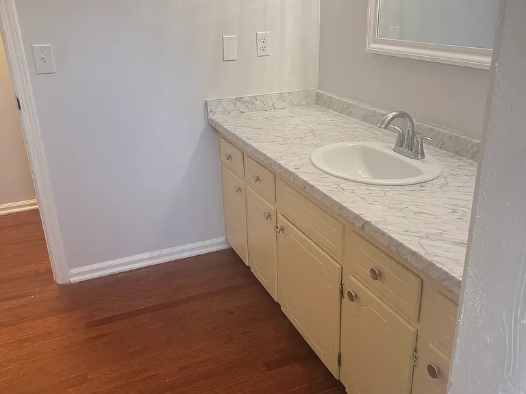 313 Rhodehaven Dr — Photo 23